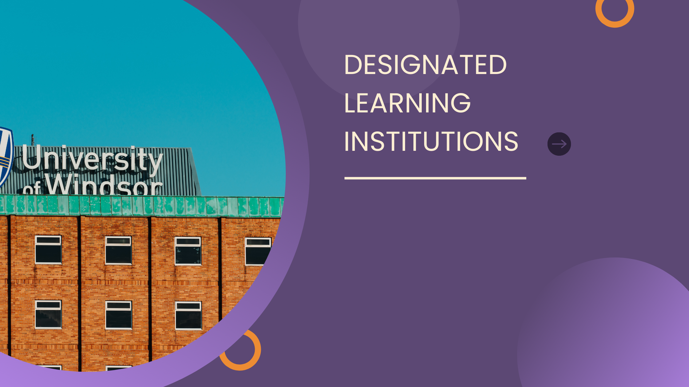 What are Designated Learning Institutions (DLIs)